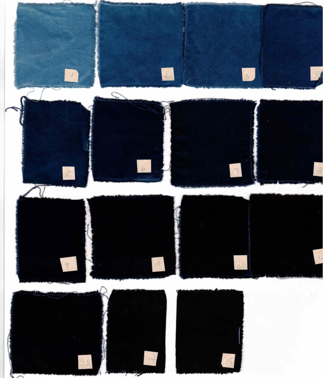 The Life of an Indigo Vat  Natural Dye Workshop with Michel